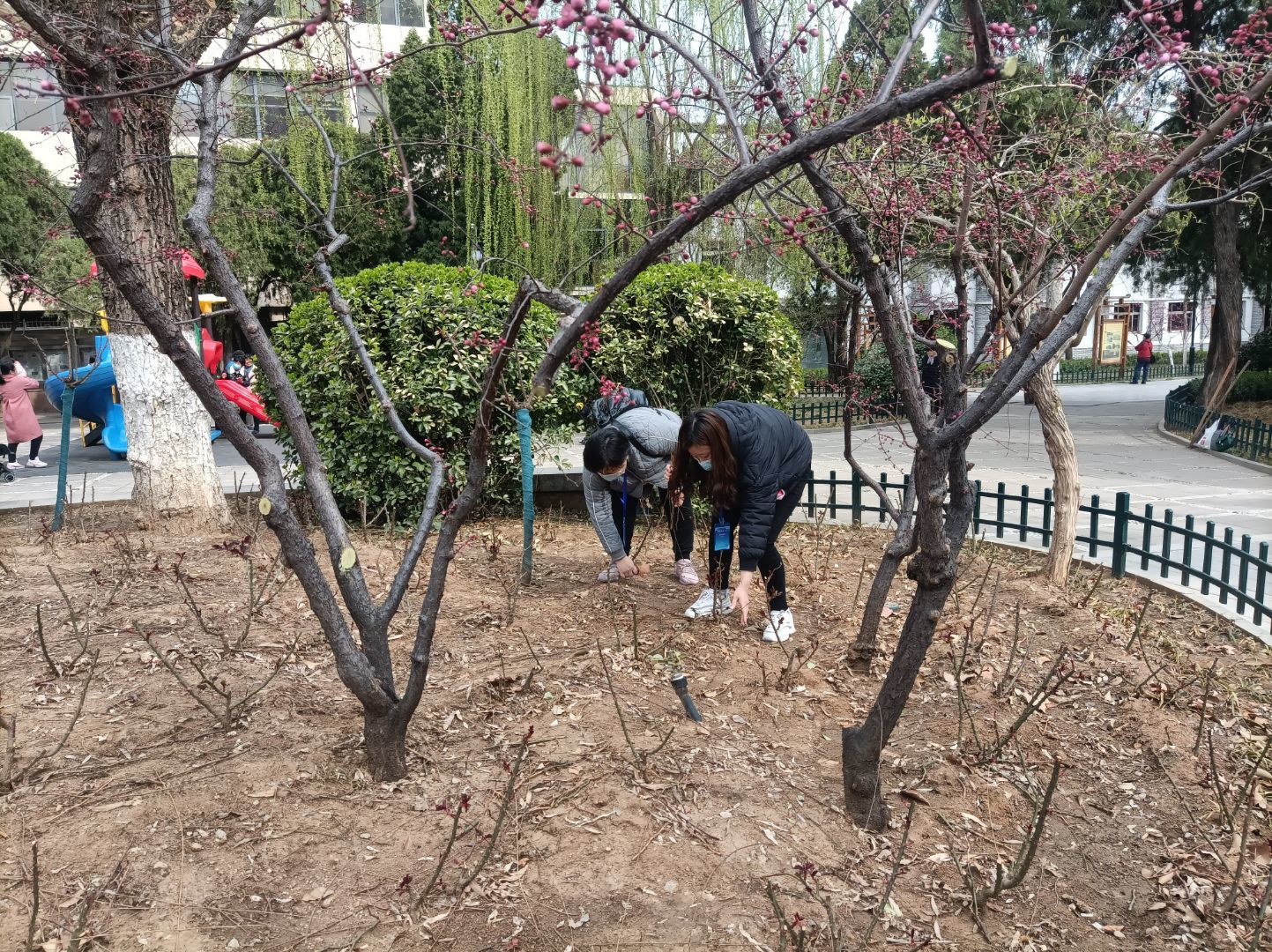 图三.jpg